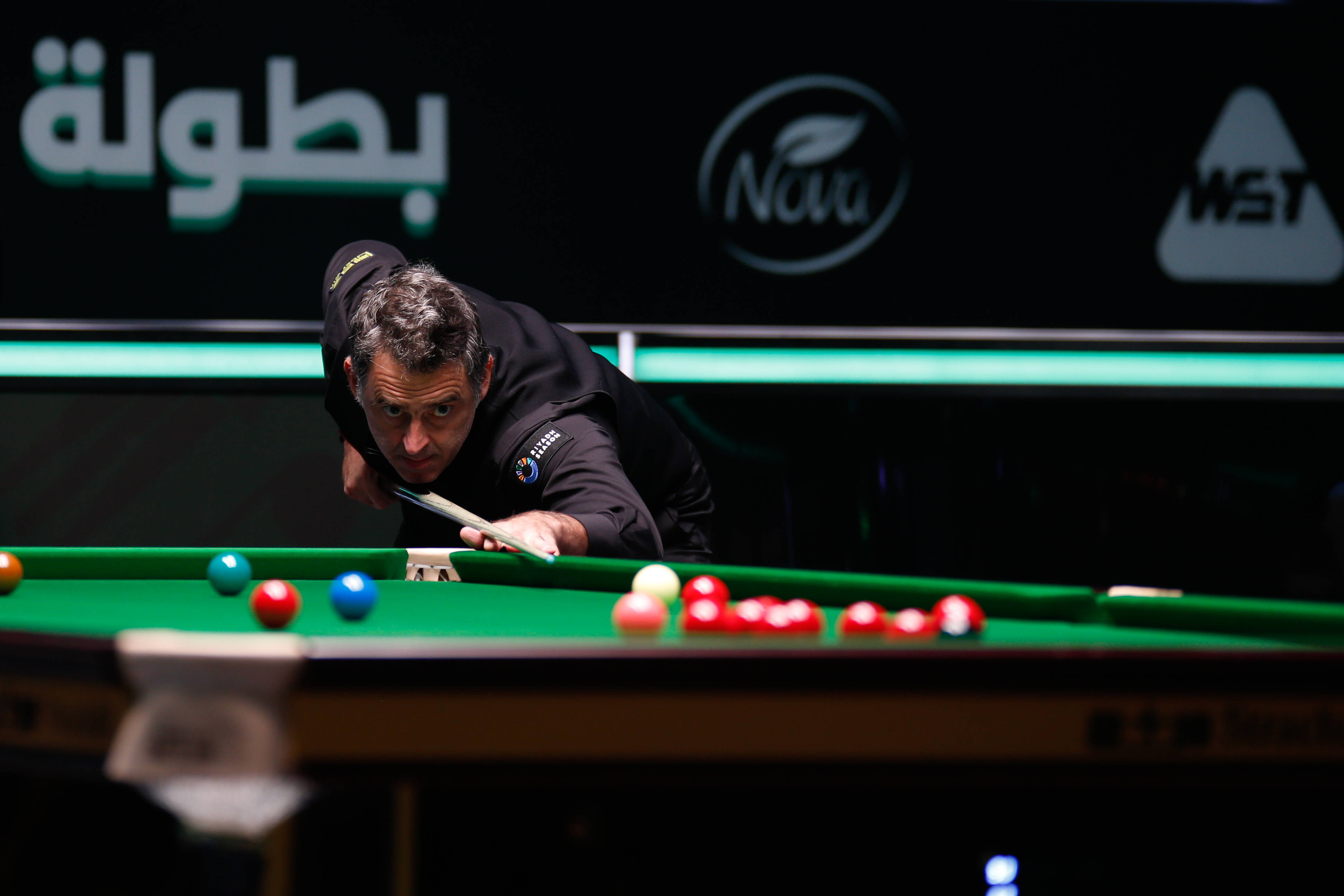 尽管布朗尼 尽管布朗尼